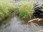 Multiple Culvert Crossing, Caribou, Maine