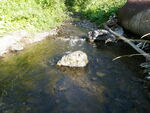 Multiple Culvert Crossing, Hardwood Brook, Presque Isle, Maine