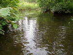 Multiple Culvert Crossing, Hockenhull Brook, Fort Fairfield, Maine