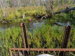 Culvert Crossing, Factory Brook, Limestone, Maine