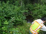 Culvert Crossing, Deadwater Brook, Woodland, Maine