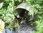 Culvert Crossing, Deadwater Brook, Woodland, Maine
