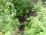 Culvert Crossing, Deadwater Brook, Woodland, Maine
