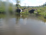 Culvert Crossing, South Branch Caribou Stream, Woodland, Maine