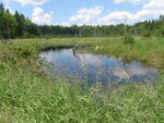 Culvert Crossing, Cyr Plt, Maine