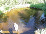 Culvert Crossing, Mud Brook, Westmanland, Maine