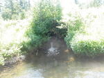 Culvert Crossing, Westmanland, Maine