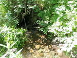 Culvert Crossing, Westmanland, Maine