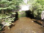 Culvert Crossing, Westmanland, Maine