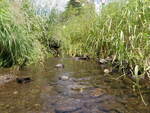 Culvert Crossing, New Sweden, Maine