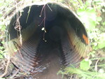 Culvert Crossing, Perham, Maine