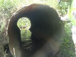 Culvert Crossing, Woodland, Maine