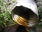 Culvert Crossing, Woodland, Maine