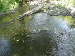 Culvert Crossing, Caribou, Maine