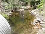 Culvert Crossing, Caribou, Maine