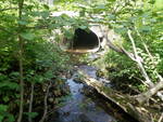Culvert Crossing, Caribou, Maine