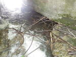 Multiple Culvert Crossing, Prestile Brook, Caribou, Maine