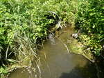 Culvert Crossing, Gray Brook, Fort Fairfield, Maine