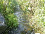 Culvert Crossing, Gray Brook, Fort Fairfield, Maine
