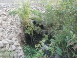 Culvert Crossing, Fort Fairfield, Maine