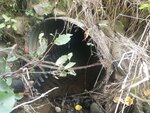 Culvert Crossing, Fort Fairfield, Maine