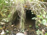 Culvert Crossing, Fort Fairfield, Maine