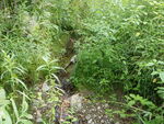 Culvert Crossing, McDonald Brook, Fort Fairfield, Maine