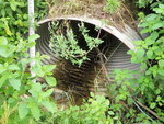 Culvert Crossing, McDonald Brook, Fort Fairfield, Maine