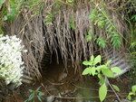 Culvert Crossing, McDonald Brook, Fort Fairfield, Maine