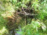 Culvert Crossing, Wade, Maine