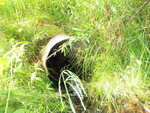 Culvert Crossing, Wade, Maine