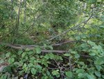 Culvert Crossing, Presque Isle, Maine