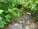 Culvert Crossing, Caribou, Maine