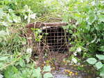 Culvert Crossing, Caribou, Maine
