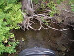 Culvert Crossing, Caribou, Maine