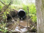 Culvert Crossing, Caribou, Maine
