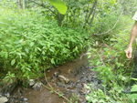 Culvert Crossing, Fort Fairfield, Maine