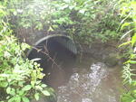 Culvert Crossing, Presque Isle, Maine