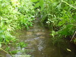 Culvert Crossing, Presque Isle, Maine