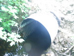 Culvert Crossing at Bickford Pond, Porter, Maine