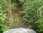 Culvert Crossing, Presque Isle, Maine