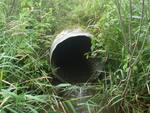 Culvert Crossing, Presque Isle, Maine