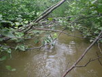 Multiple Culvert Crossing, Presque Isle, Maine