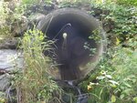 Culvert Crossing, Presque Isle, Maine