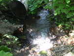 Culvert Crossing, Presque Isle, Maine