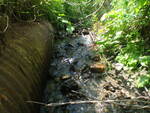Culvert Crossing, Presque Isle, Maine