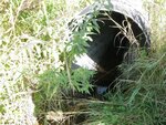 Culvert Crossing, Presque Isle, Maine