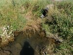 Culvert Crossing, Presque Isle, Maine