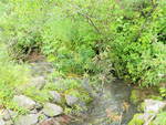 Culvert Crossing, Presque Isle, Maine