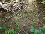 Multiple Culvert Crossing, Fort Fairfield, Maine